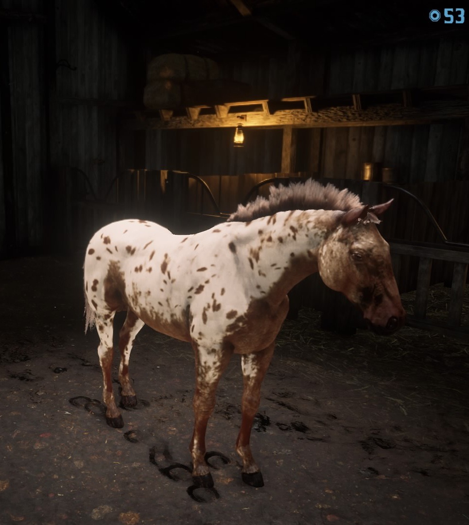 Ceez [+] on X: My Horse, Ur BBEETTCH is as Ride or Die as they come..  but definitely not the brightest. #RDR2 #RedDeadRedemption2 #TheViewage   / X