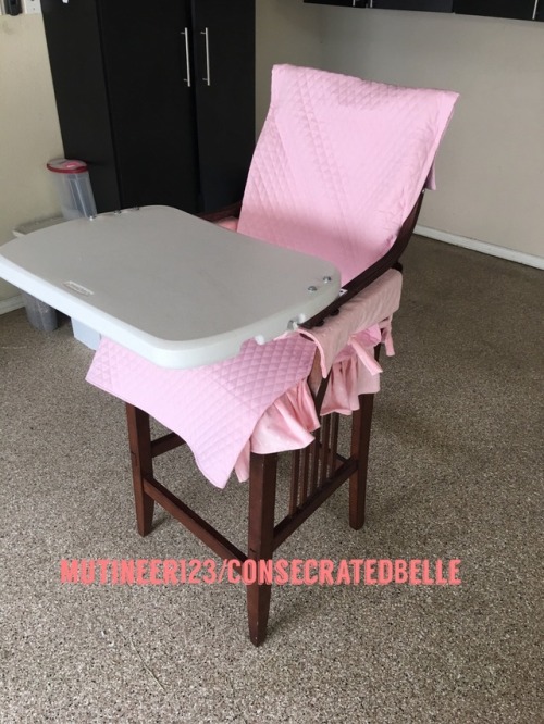 mutineer123: The project.. make baby Belle a High chair that can be disguised..