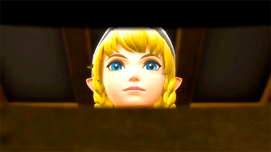 kayo-kyrano:  Linkle joins the battle!