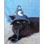 moonymoi