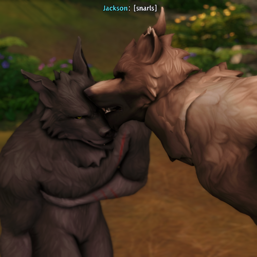 Chapter Seven Adie (The Fight Pt 2) - Previous // Next // Beginning // Werewolf Lore