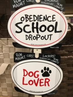 These are cute, but as we don&rsquo;t have an actual pet dog, I am not sure if I want to field the questions I might get. In general people don&rsquo;t know that I am the dog.