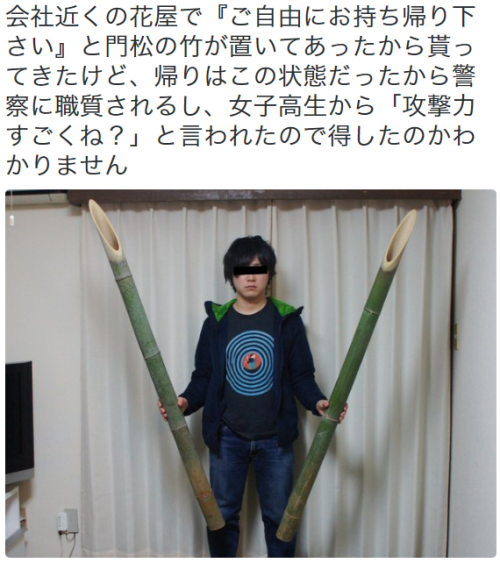 yorozuna:   ARuFaさんはTwitterを使っています: “会社近くの花屋で『ご自由にお持ち帰り下さい』と門松の竹が置いてあったから貰ってきたけど、帰りはこの状態だったから警察に職質されるし、女子高生から「攻撃力すごくね？」と言われたので得したのかわかりません