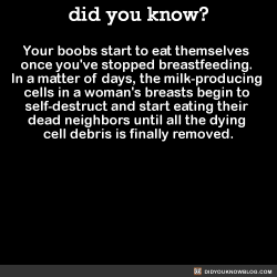 did-you-kno:  Your boobs start to eat themselves