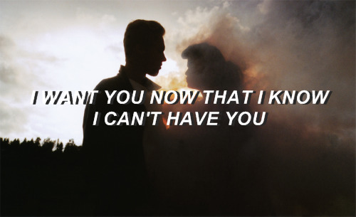 my-life-is-my-rules-on-tumblr