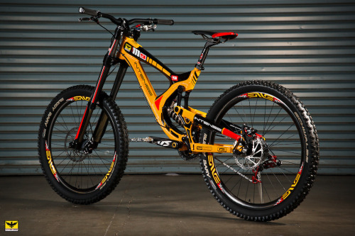 technomancer314:  I will sell my first-born for this bike. 