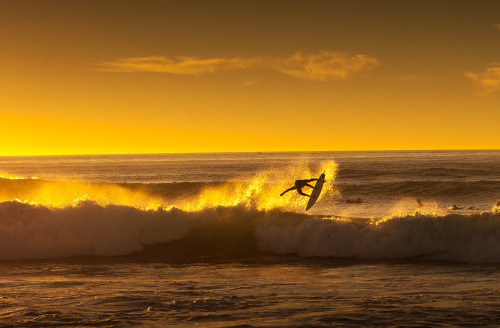 infinitesurf: skip mccullough, la jolla // photo: peter taras