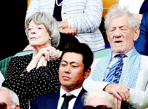 dontbesodroopy:Maggie Smith and Ian McKellen attend Wimbledon. Also known as McGonagall and Gandalf watch some tennis (12th July, 2017)