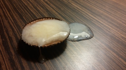 cum-gourmet:  With thanks to nakedpiranha for this creamy submission.