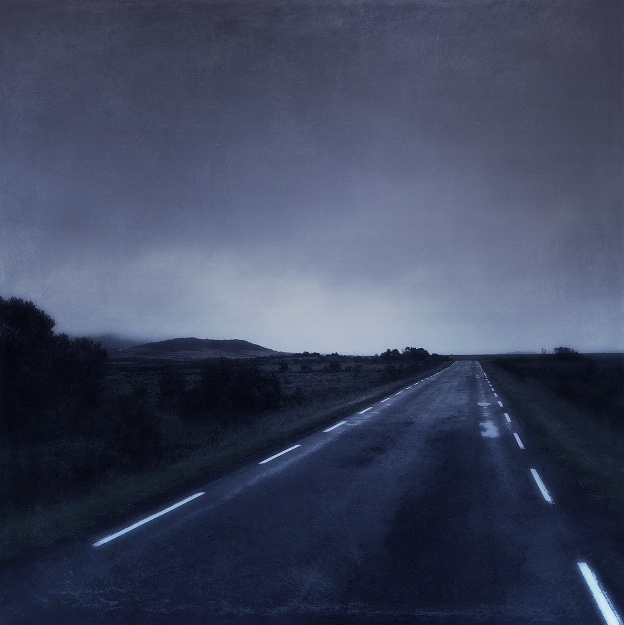 mydarkenedeyes:  Bjørg-Elise Tuppen - Blue Melancholia (2016) 