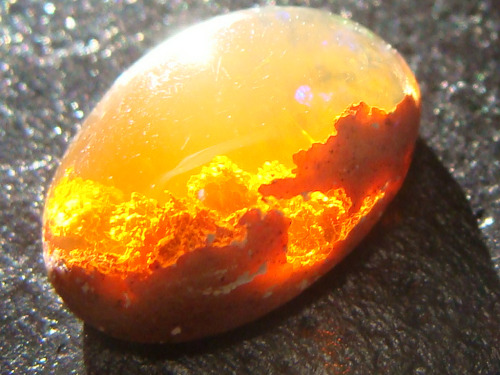 tin-pan-ali: anxiousmonster: piefacemcgee: mineralists: Fire Opal Mexico what no are you sure that l