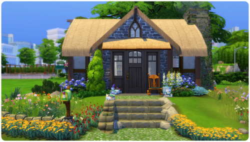 The Accidental CottageI didn’t set out trying to build a cottage, in fact quite the opposite. 