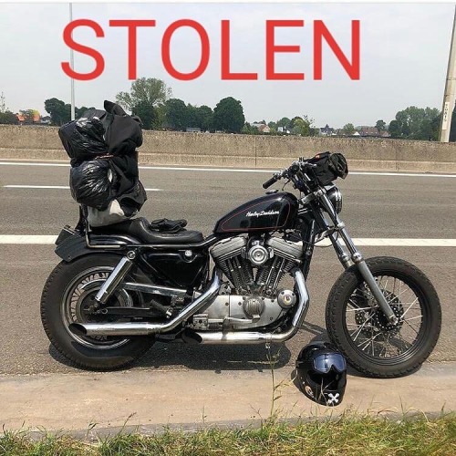 chopcult:Be on the lookout, folks. Please contact www.instagram.com/williamltshearer or @thegreatfro