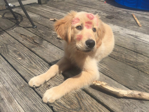 animalrates:via @alexa