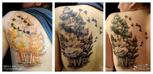 fuckyeahtattoos:  This client wanted a flock of birds to represent to represent her family, but wasn’t happy with the results.  She came to me after finding another sketch-style tree that I had done.  Out with the old flock, in with the new! Tattooed