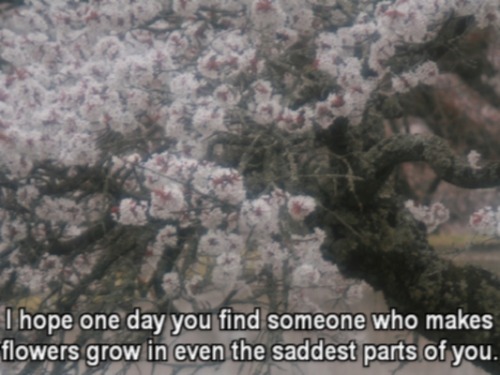 massacres:  forest—boy:  x