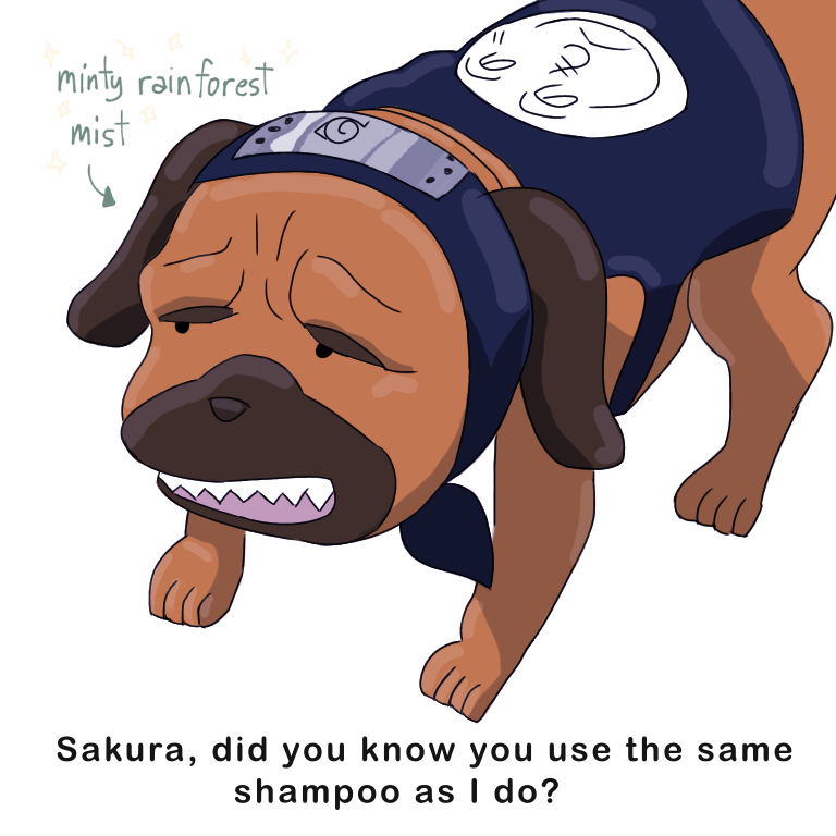 Kakashi Dog Pfp / Dogwifhat Know Your Meme / More than 4 kakashi dogs