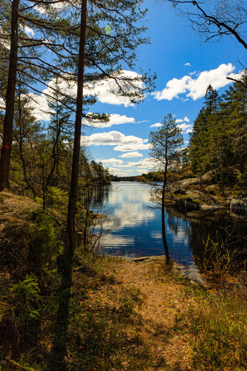 Swedish forest lake 17/? - Bohusleden, Sweden, April 2020photo by nature-hiking