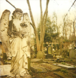 luminousobscure:  Highgate Cemetary, London, 2009(?) Cropped Polaroid 600 