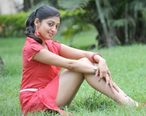 sexy-indian-actress:Praneetha  #616 Pranitha Subhash #1108#46884 Followers…