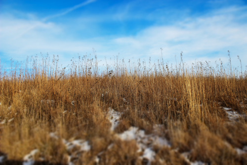 bluelunaphotography:  country blue