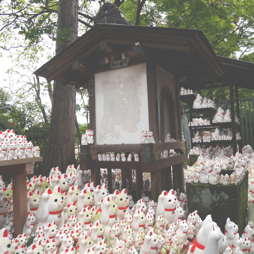 kaoruhasegawaartworks: (Gotokuji Temple)