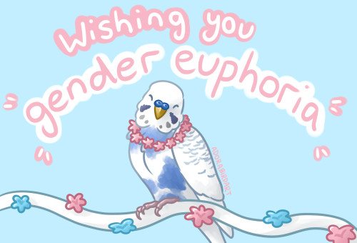 catgirlapologist:featheredadora:Bird positivity! This budgie is wishing you gender euphoria today an