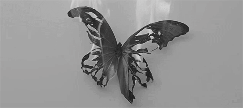 a-thelittledevil:  A Dark blog. Enter with Caution. 