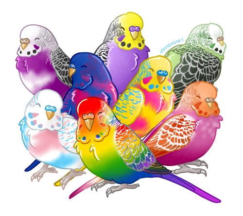 featheredadora:  All of my 2021 Pride Month budgies assembled together! I hope you guys enjoyed seeing them as much as I enjoyed drawing them!Feel free to check out these designs on my AdoraBirdArt Redbubble store (link is in my blog description) if you’d