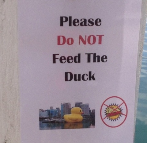 Rubber Ducky