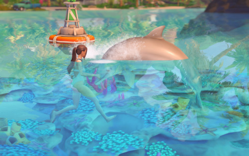 Working Hard Has Paid Off And Lola Has Started Saving Up For Her Forever Home In Sulani
