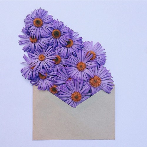 ladyinterior: Vibrant Flowers Delicately Complement Naturally-Toned Vintage Paper Envelopes, An