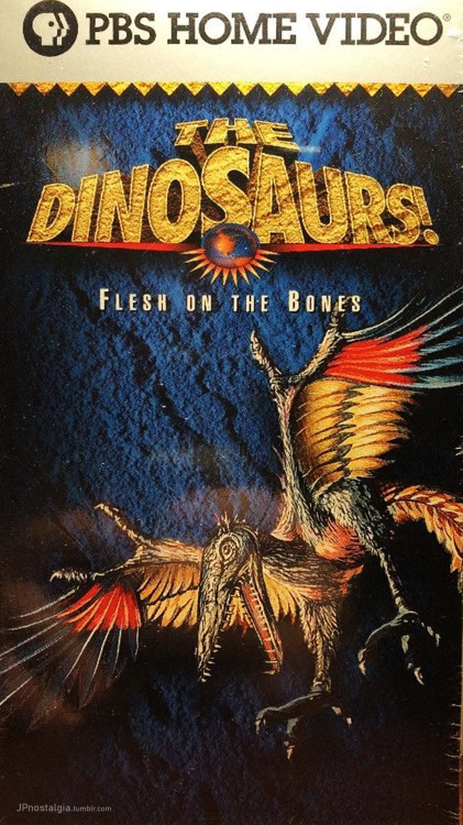 jpnostalgia:DINOSAUR DOCUMENTARIES VHS 90sjpnostalgia.tumblr.com/