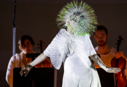 z1ml1ck:Björk at Carnegie Hall, New York,