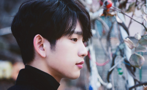 wangmins: reader!jinyoung ♡