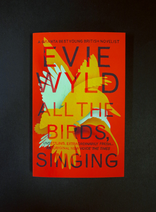 All the Birds, Singing by Evie Wyld