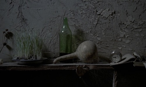 ozu-teapot:Nostalghia | Andrei Tarkovsky | 1983