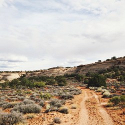 everlane:  From Seoul to Nairobi, Versailles