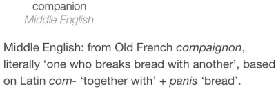 spacesweepers:rumman:mutuals are people u wanna eat bread dipped in olive oil with