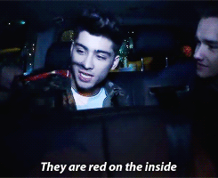 I LOVE ZAYN