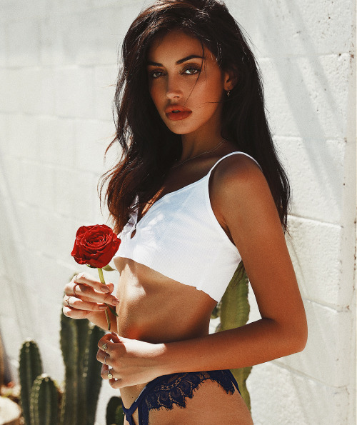 dolcecindy:    Cindy Kimberly  