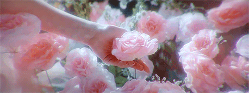 💘✨✨💝💕💖 Venus Aspects 💘✨✨💘