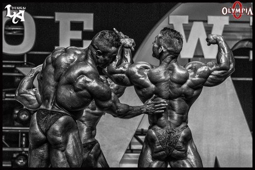 roidsville-zoo:Eduardo Correa and James Flex Lewis