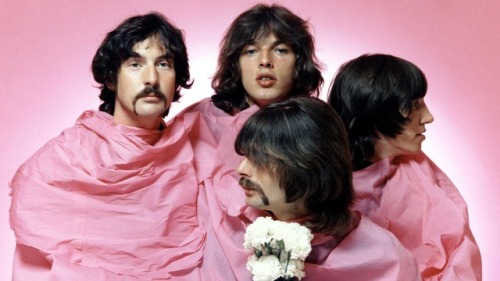more-relics:  Pink Floyd shrouded in pink porn pictures