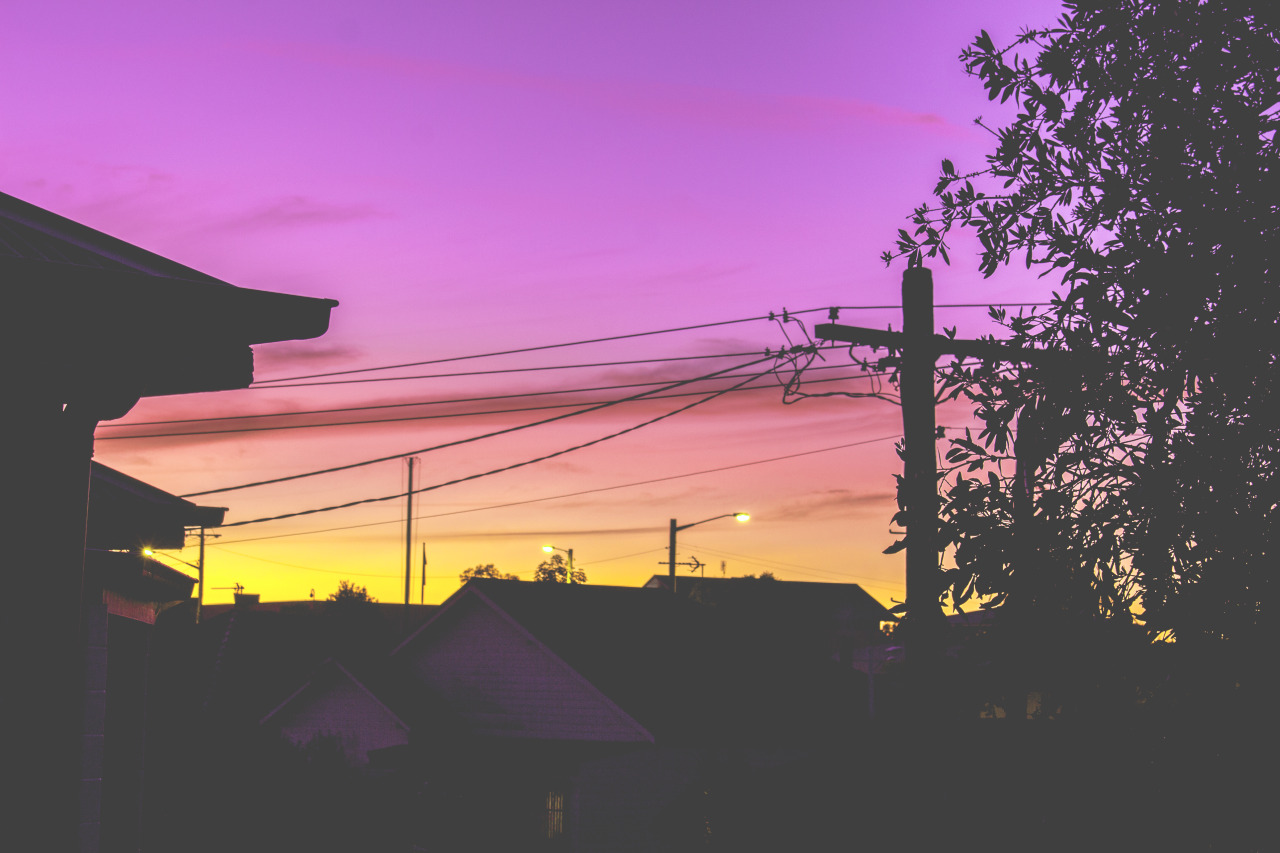 neckgrief:  Winter, AustraliaMy Instagram
