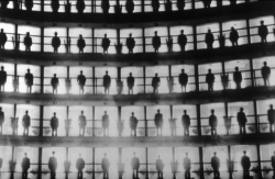 congenitaldisease:  Panopticon Prison: Inmates standing in their