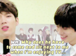 eteru:  Q: which members are the most awkward together when left alone in the dorms? 