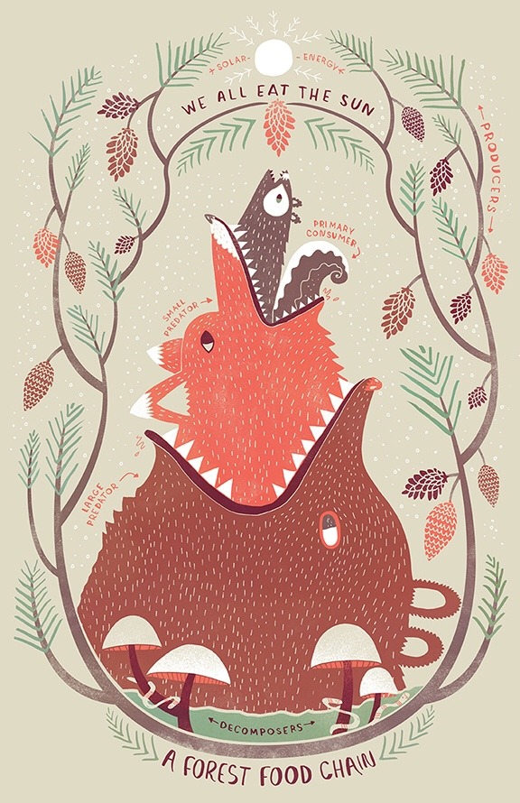 paganalia:  Food Chains  by Rachel Ignotofsky  https://www.rachelignotofskydesign.com/food-chain