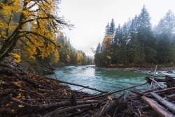 itakephotosofallthethings: Washed Up North Bend, WA 