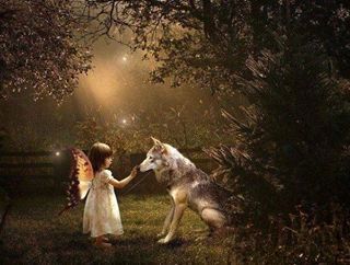 wolfstravelsinmind:  I’ve longed to be touched by an Angel. 